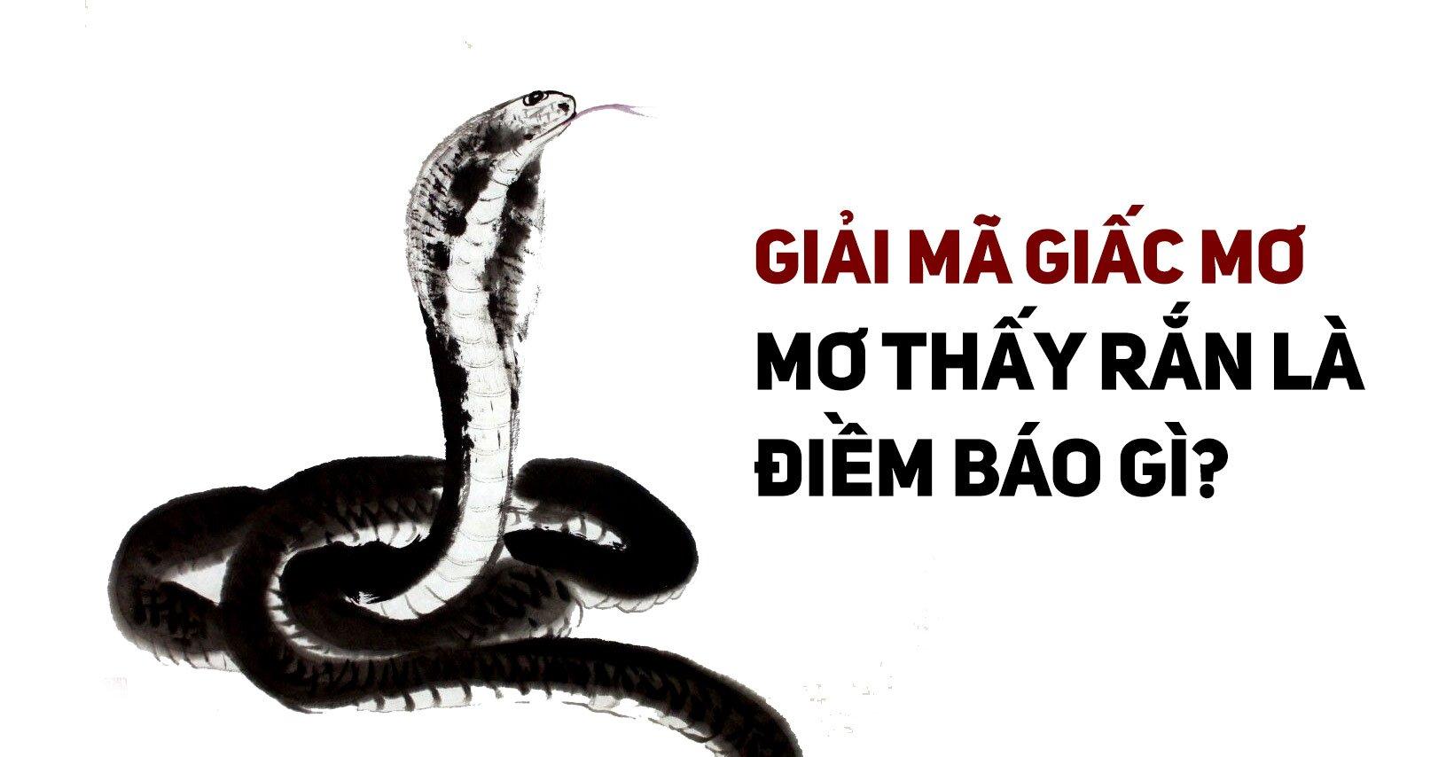 Giải mã giấc mơ thấy rắn